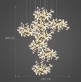 QZ2718 GINGKO FLOWERS 