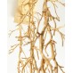 WM504 SPIKED BRANCH