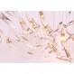 MM0201 MOONLIGHT MURMURATION