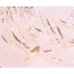 MM0201 MOONLIGHT MURMURATION