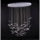 MM0201 MOONLIGHT MURMURATION