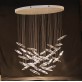 MM0201 MOONLIGHT MURMURATION