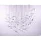 MM0201 MOONLIGHT MURMURATION