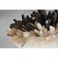 AM1110 DIAMOND RING QUARTZ 