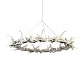 AM1801 ANTLER HALO RESIN 