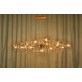 AM1819 BIJOUT CHANDELIER