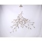 DV5623 Bloom Vivant