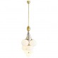 JR1978 Orchard Chandelier