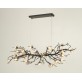 OR07610 BRANDOLINI III BRANCH