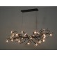 OR07610 BRANDOLINI III BRANCH