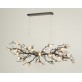OR07610 BRANDOLINI III BRANCH