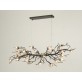 OR07610 BRANDOLINI III BRANCH