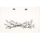OR07610 BRANDOLINI III BRANCH