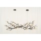 OR07610 BRANDOLINI III BRANCH