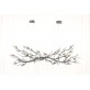 OR07610 BRANDOLINI III BRANCH