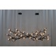 OR07610 BRANDOLINI III BRANCH