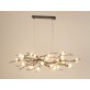 OR07610 BRANDOLINI III BRANCH