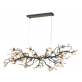 OR07610 BRANDOLINI III BRANCH