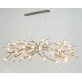 OR076 BRANDOLINI  