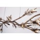 OR076 BRANDOLINI  