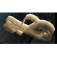 AM8800T KINGDOM TWISTED CRYSTAL