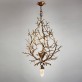 IQ8171 LUSTRE BRANCH 