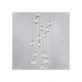 SJ2093 LIYA  