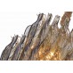 AM961281