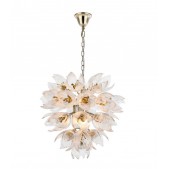 AM962850  DAISY 