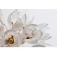 AM962850  DAISY 