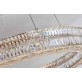 AM962996 CHAMBORD