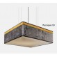 IQ21056 PLAZA SQUARE CEILING LAMP