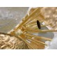 IQ2428 NUVOLO CHANDELIER