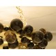 IQ2496 BUBBLE RING 