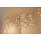 IQ2792 28 PETITS BIJOUX