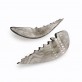 IQ2817 WINGS 