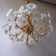 IQ2844 MURANO GLASS CHANDELIER