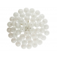IQ3249 FLUSH MOUNT LIGHT
