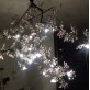 IQ8061  PLUM BLOSSOM