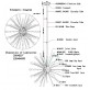 IQ8185 SOPHIA Single Pendant 24