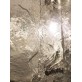 IQ8395  TEXTURED MURANO