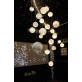 IQ2208  LUNE 
