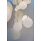 IQ2209 Planets