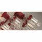 AM6290 ZENITH ROUGE