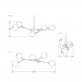 DV5611 Branching Bubbles