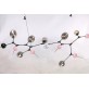 JT267 BRANCHING BURST 