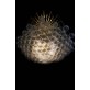 KA1837 BUBBLE CHANDELIER