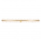 AM2227SC COUP D’ECLAT 