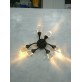 AK4004 DAMSELFLY SCONCES